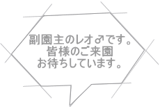 副園主のレオ♂です。 皆様のご来園 お待ちしています。